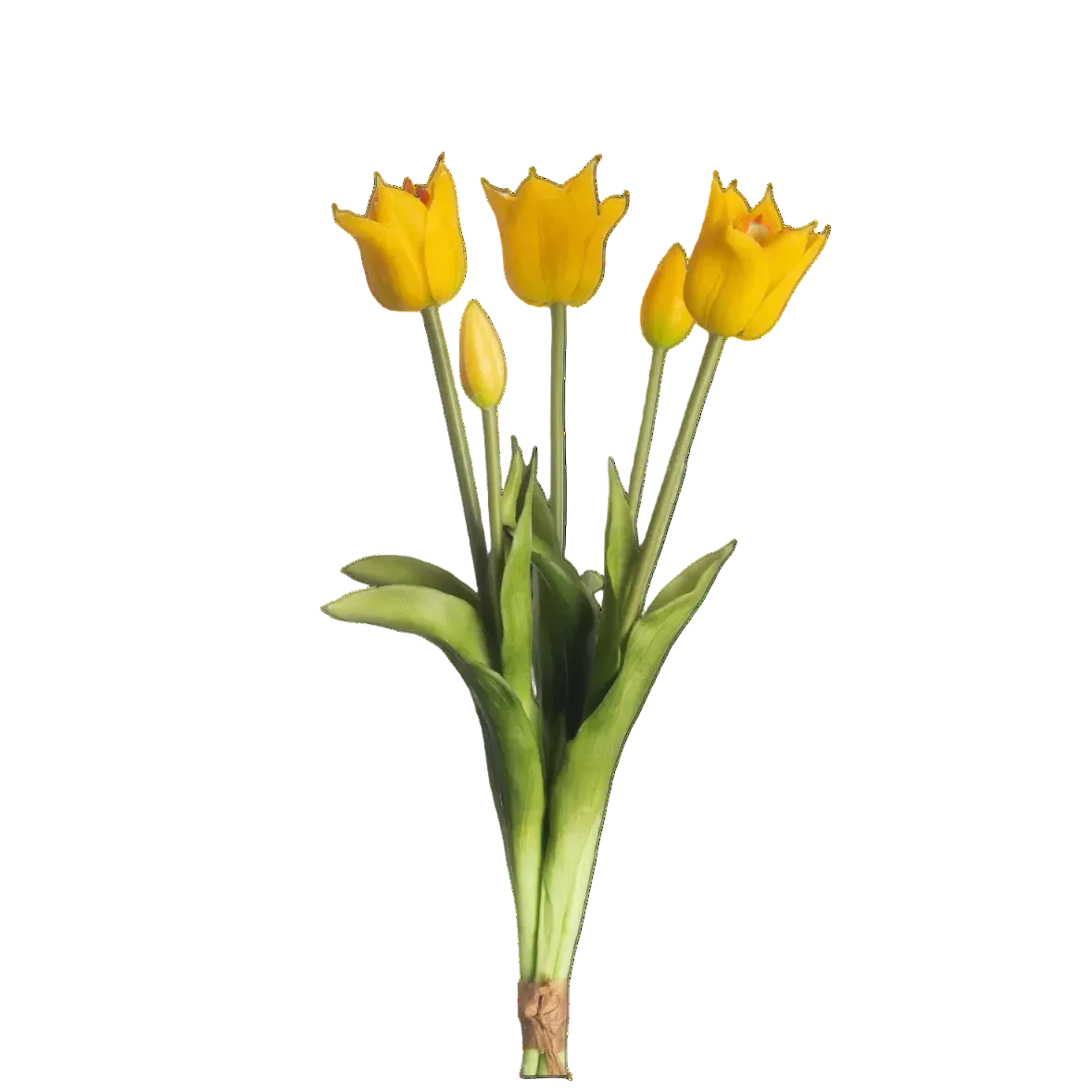 Papegaaitulpen Geel – 5 Stuks | Speels & Elegant Tulpenboeket