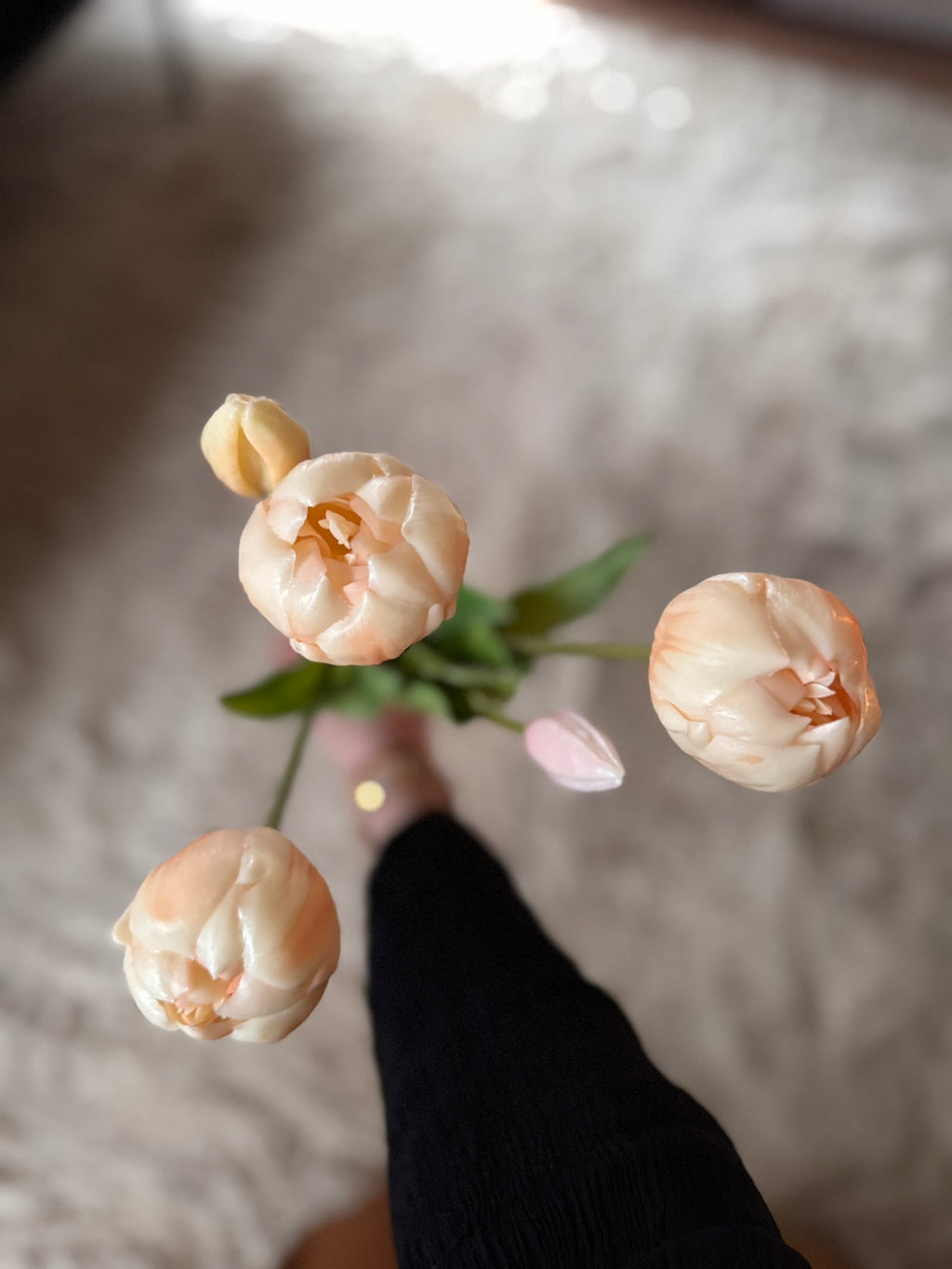 Pioen tulpen champagne