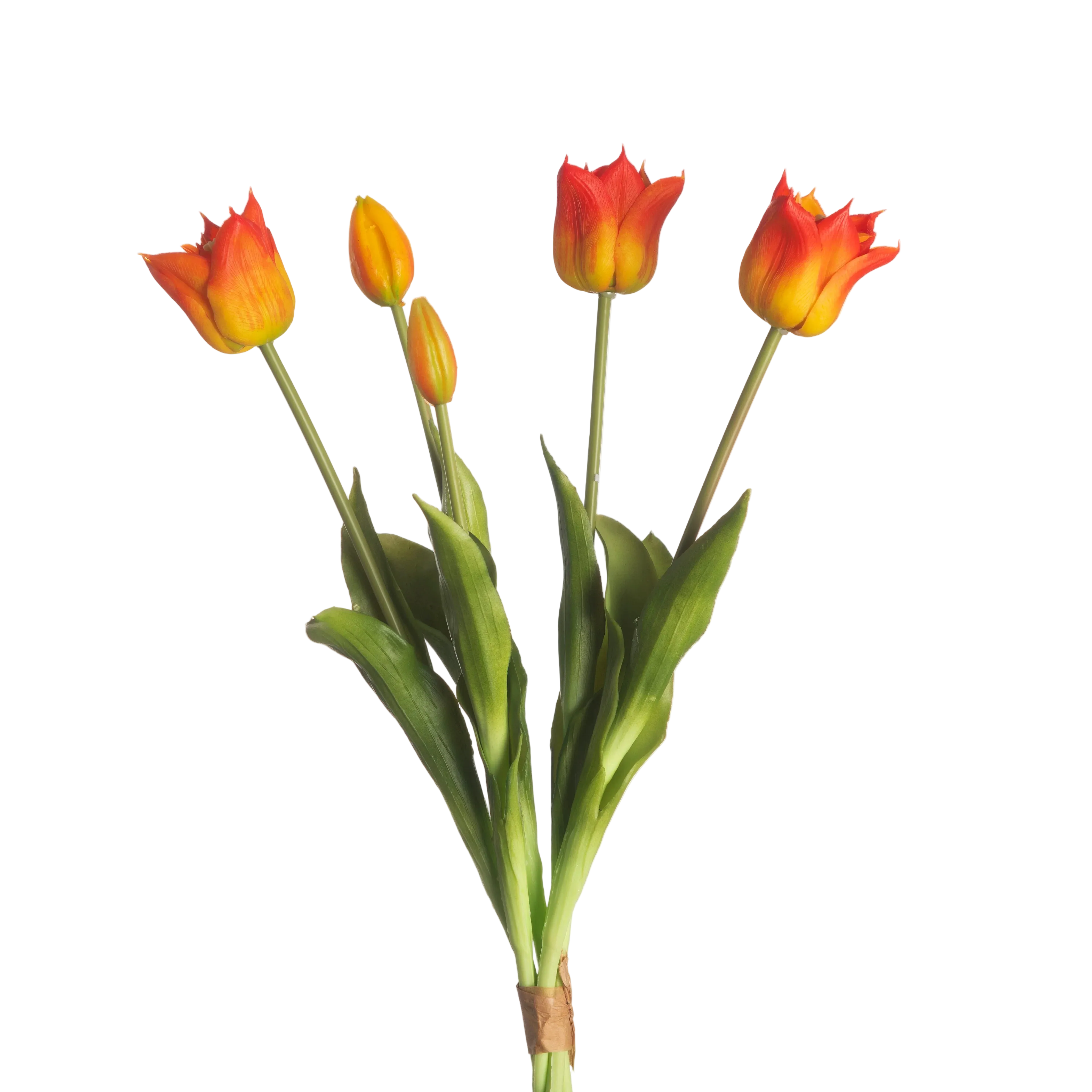 Papegaaitulpen Oranje – 5 Stuks | Speels & Elegant Tulpenboeket