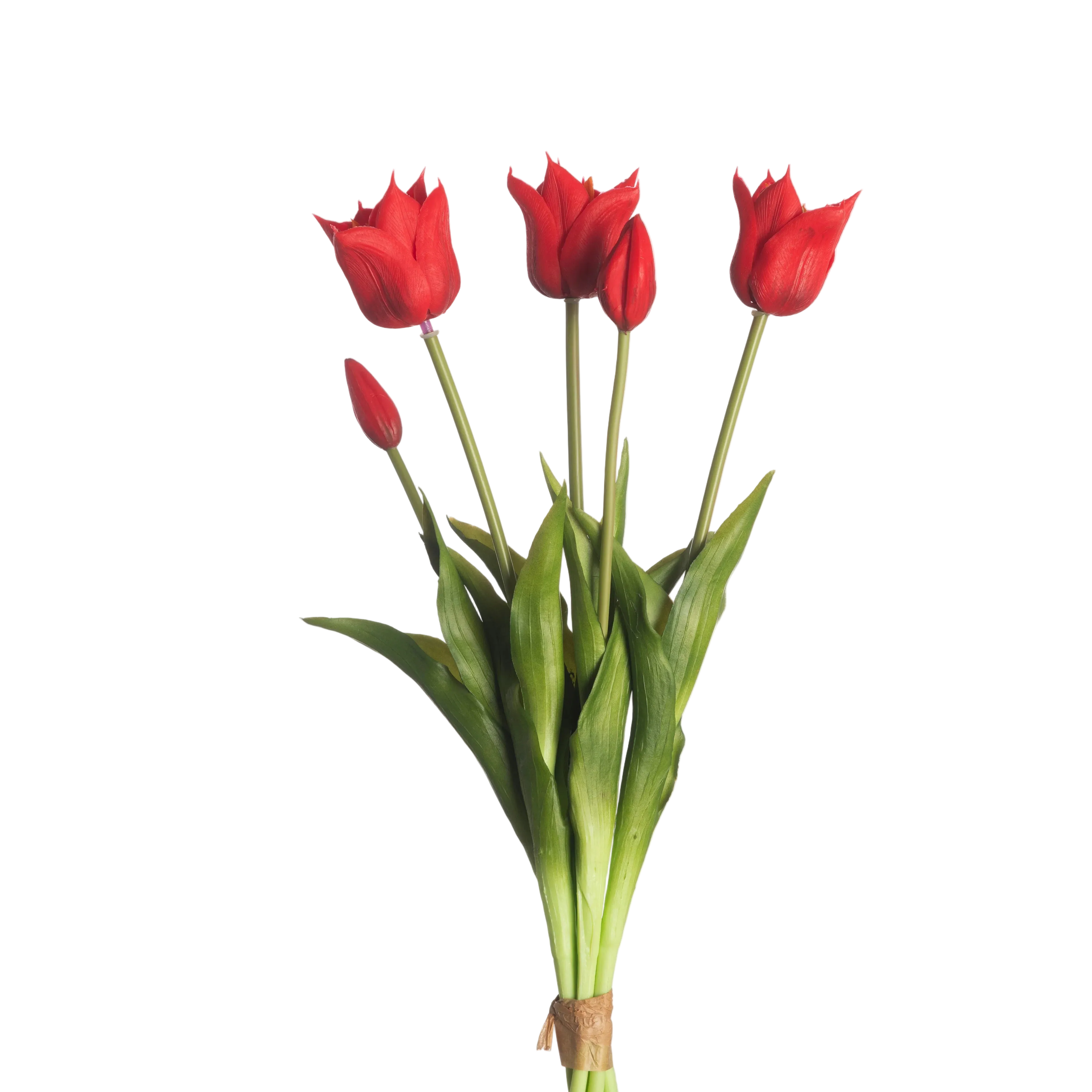 Papegaaitulpen Rode – 5 Stuks | Speels & Elegant Tulpenboeket