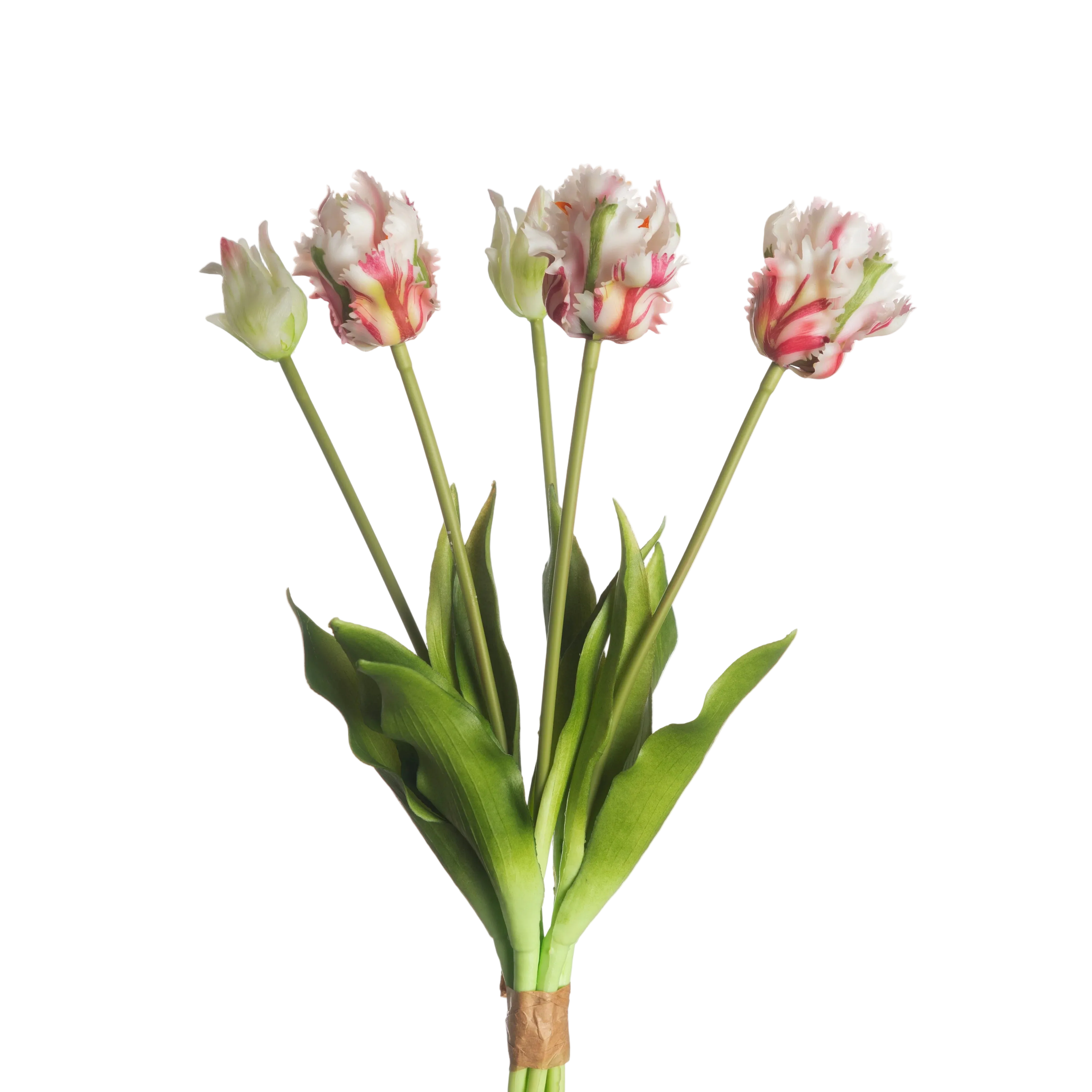 Papegaaitulpen Roze-Wit – 5 Stuks | Speels & Elegant Tulpenboeket